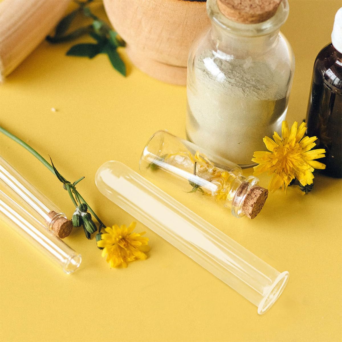 Garneck 6pcs Glass Test Tube Flower Vases Hydroponic Propagation Tubes Glass Plant Containers 2.5x3x15cm for Home and Office Décor