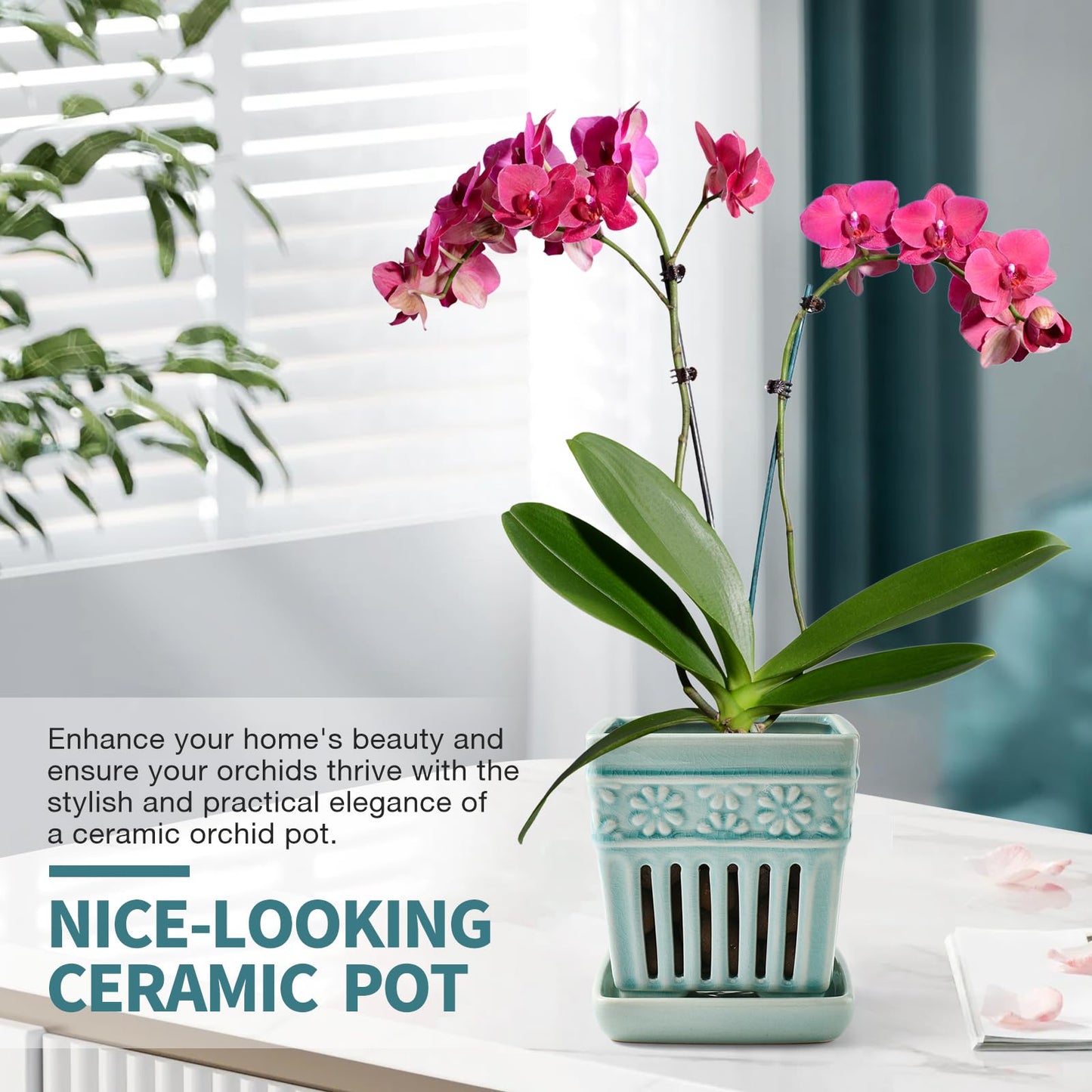 SUADEN Orchid Pots with Holes | 5" Ceramic Orchid Planter with Separate Saucer and Drainage Holes | Crackle Glazed Pottery Small Flower Pot for Repotting Orchids（Blue）