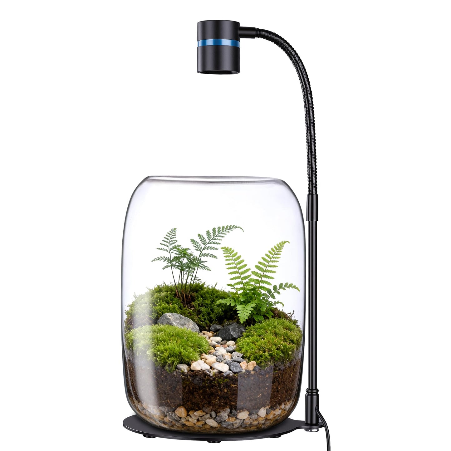 Yeeweek Glass Plant Terrarium with LED Grow Light(H:8.46" D:5.9"), Desktop Terrarium for Venus Fly Trap, Moss & Succulents, Borosilicate Indoor Planter for Home Office Decor