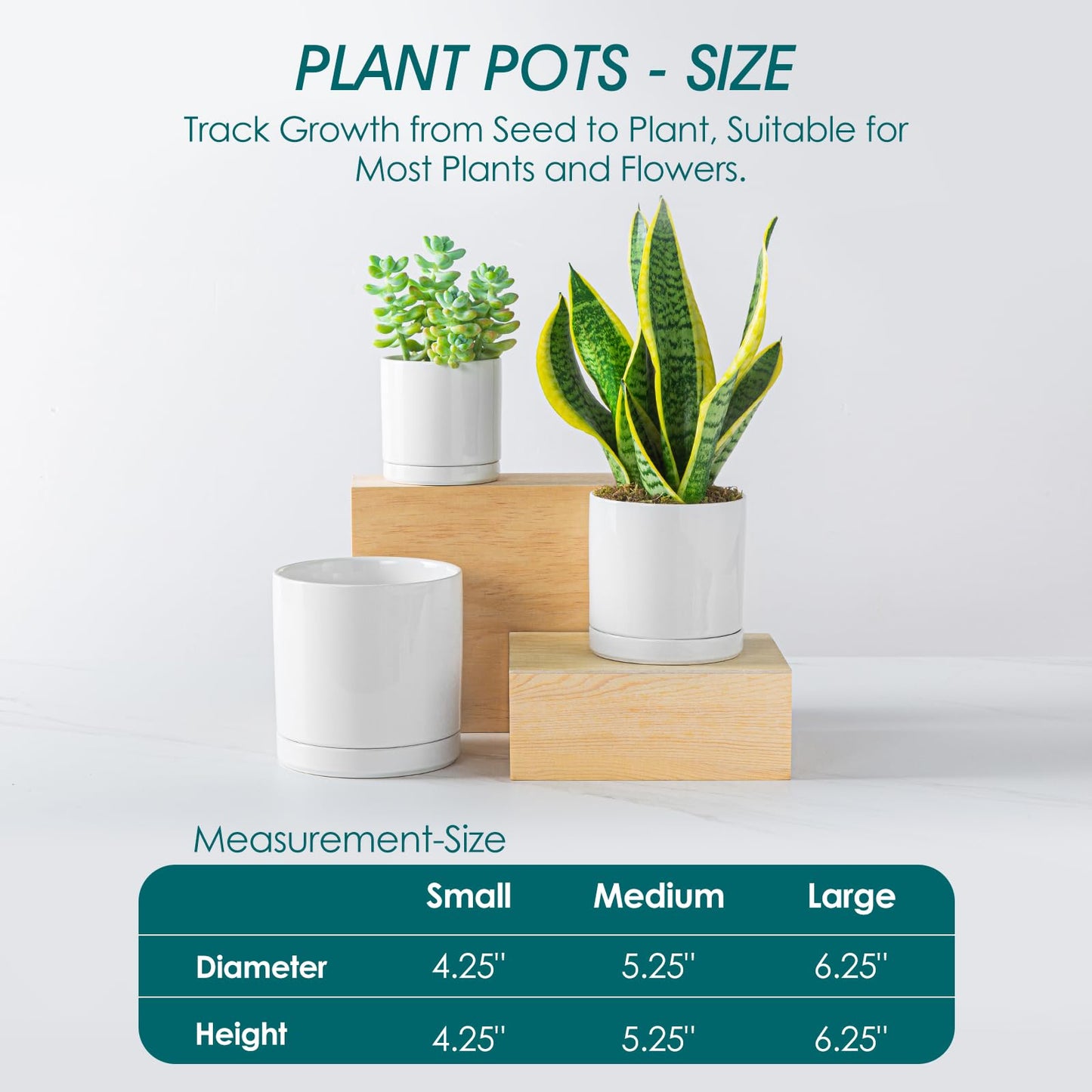 vancasso Ceramic Plant Pots, 6 Piece Planters for Indoor Plants, 4.25+5.25+6.25 Inch Flower Pots with Drainage