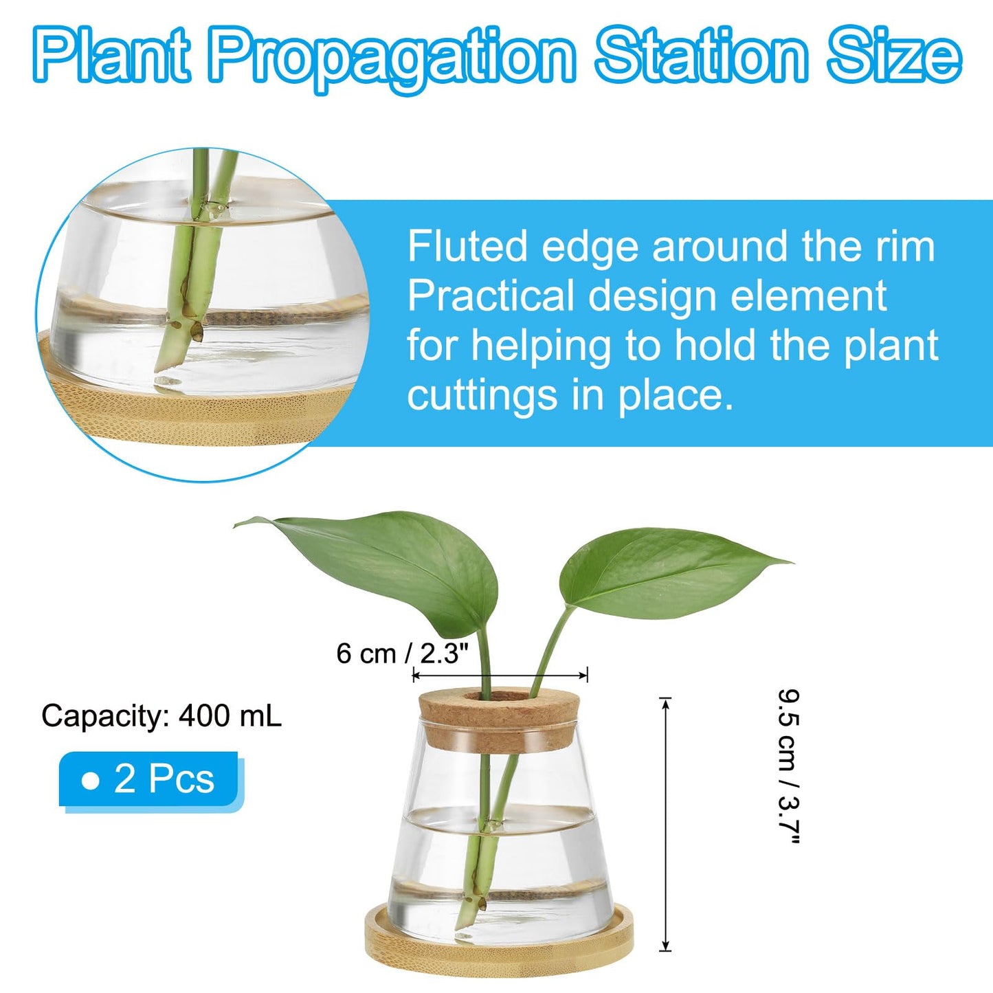 PATIKIL Plant Propagation Station Glass Vases, 2 Pcs Desktop Trapezoid Planter Terrarium Vase with Wooden Tray & Lid for Hydroponic Office Home Decor Plants Indoor, Brown