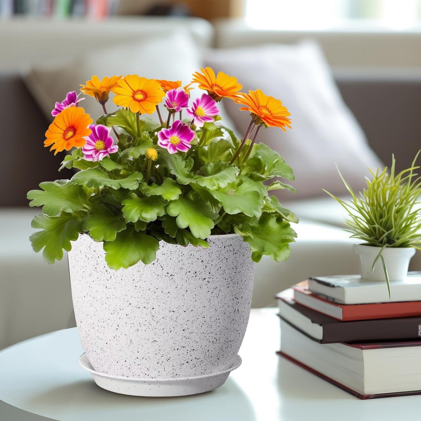 XINHUISHQZ 10/9/8 inch Plant Pots, 3 Pack Plastic Flower Pots Modern Flower Pots with Drainage Holes and Trays are for Indoor and Outdoor Plants, Herbs and Flowers,White Speckles