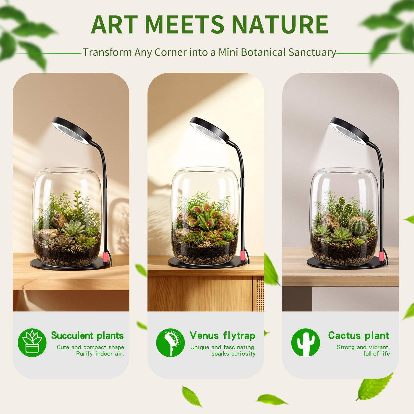 5X Aperture Glass Terrarium Grow Light with Full Spectrum LED for Indoor Plants, Mini Desk Plant Growing Lamp for Succulents & Moss, 3 Modes, 10 Brightness Levels, Height Adjustable
