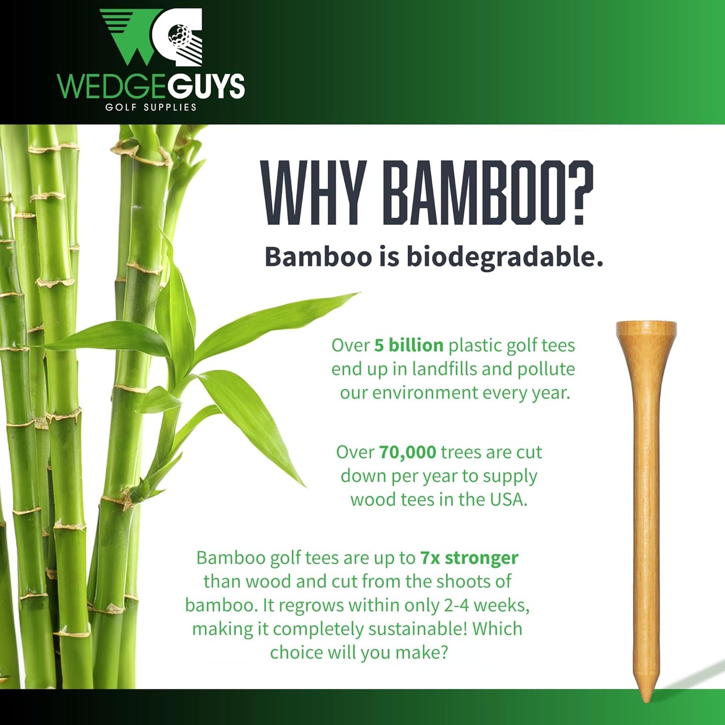 Wedge Guys Bamboo Golf Tees 3-1/4" | 100,250 or 1000 pcs. | Extra Durable & Stronger Than Wood Tees | Biodegradable & Less Friction | PGA Professional Approved, Golf Tees Bulk Bag