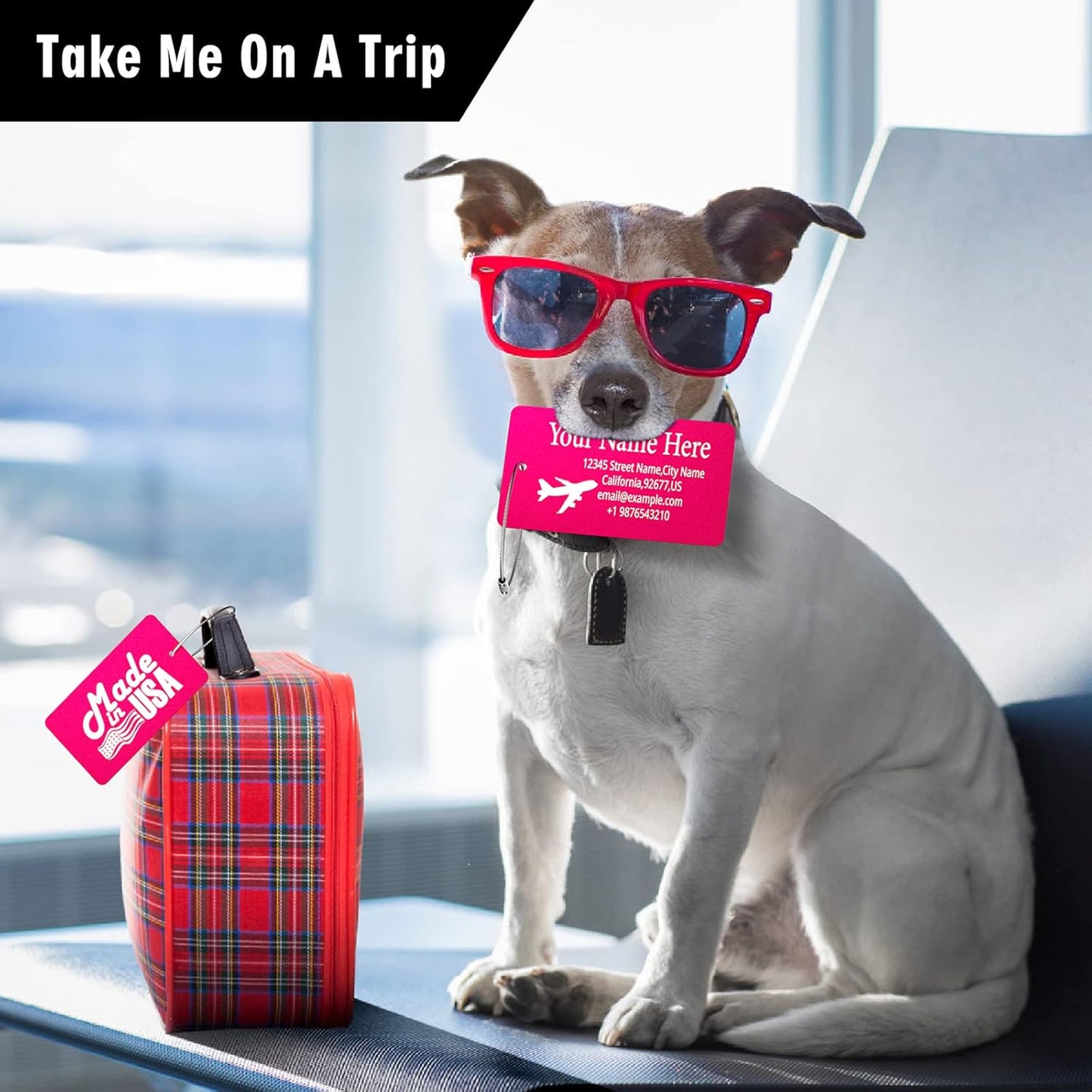 Luggage Tags for Suitcase - Personalized Engraved Metal Tag for Cruise Travel - Custom Name Tags Suitable for Bags and Backpacks(Red)