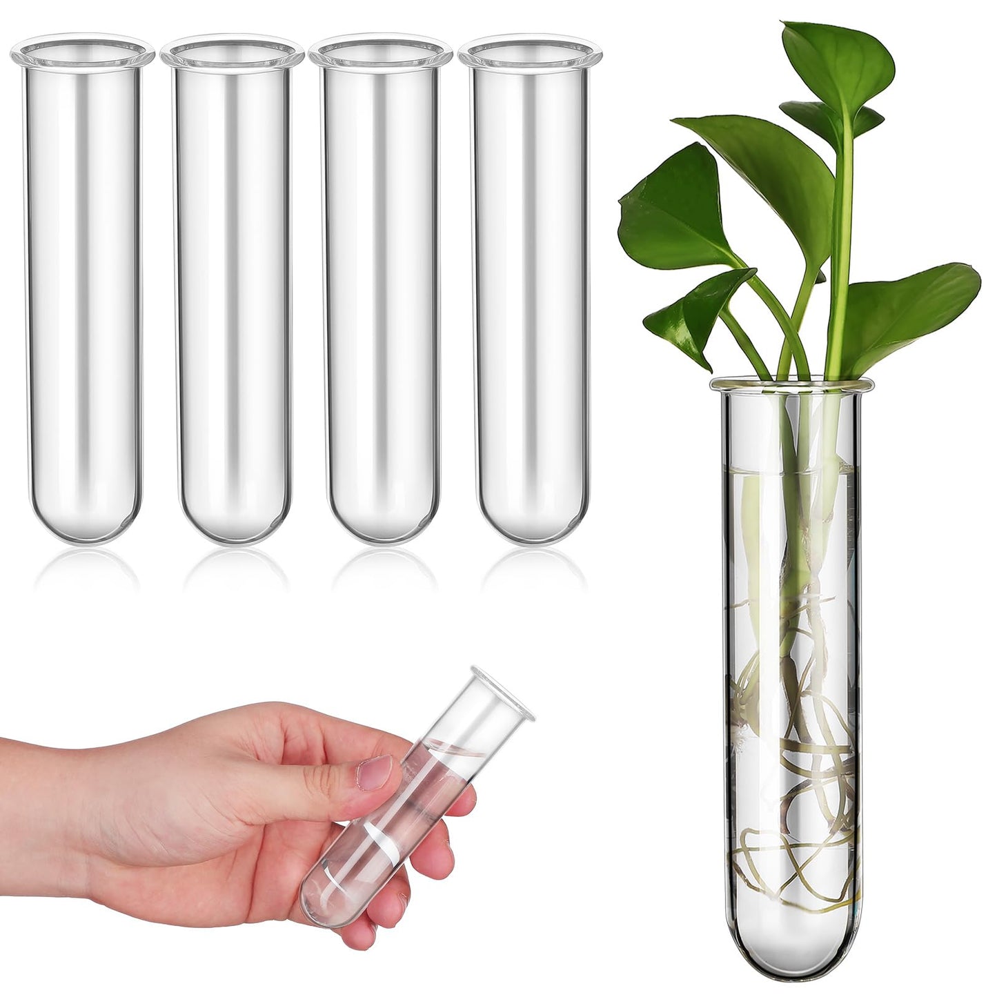 SOLUSTRE 5pcs Glass Test Tube Plant Propagation Vase Set 2.5x3x11cm Floral Tubes Hydroponic Water Culture Station for Small Terrarium Plants and Home Décor