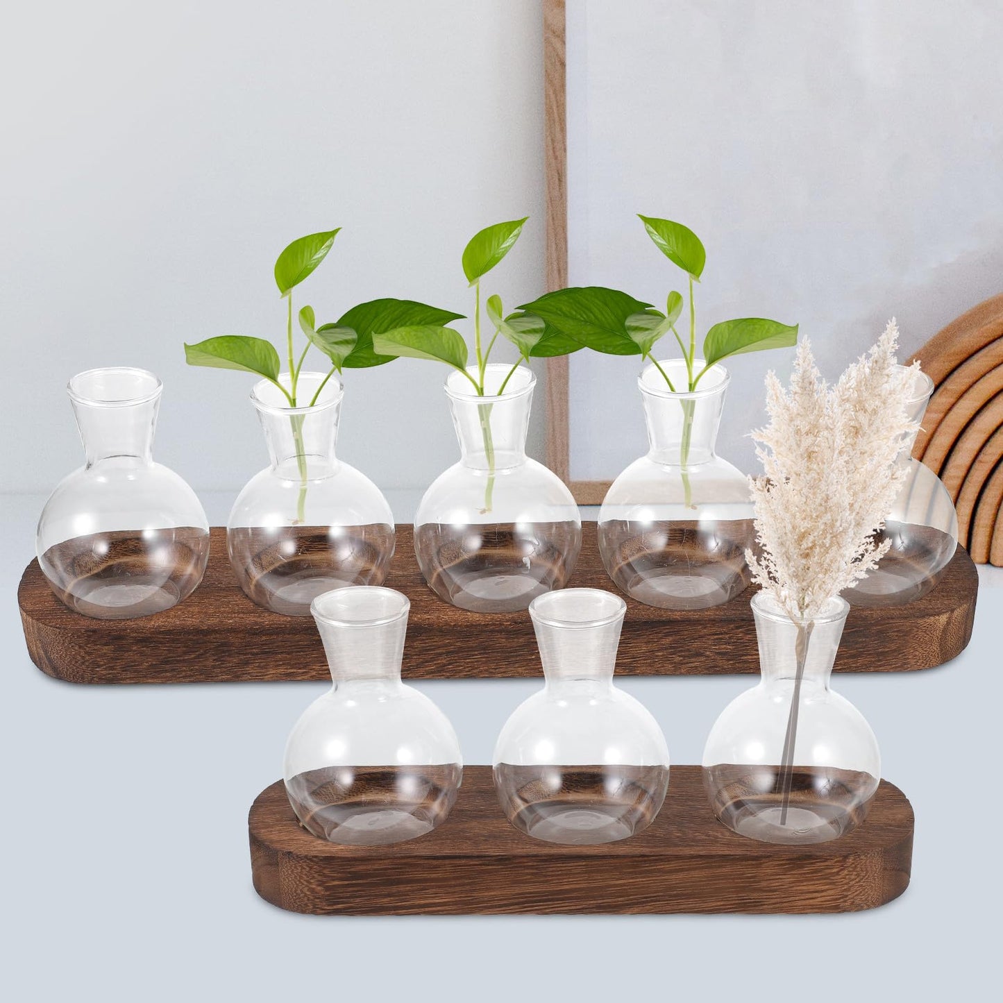 Toyvian Glass Plant Vase Set with Wooden Base, Hydroponic Terrarium for Indoor Greenery, Desktop Decorative Flower Vases for Office and Living Room (3 Bottles + 5 Bottles)