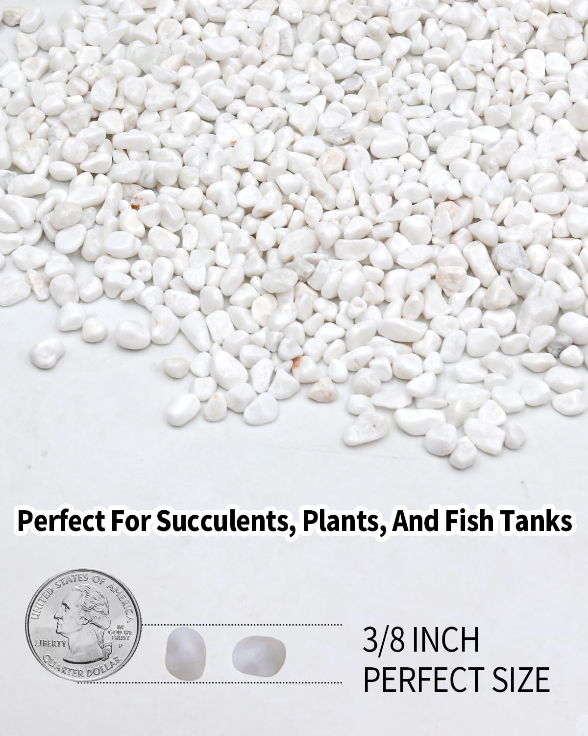 FAHAXIKI 12LB White Succulent & Cactus Gravel Pebbles - 1/4-3/8 Inch Natural Polished River Rocks, Decorative Stones for Plants, Terrariums, Vases, Aquariums & Outdoor Gardening