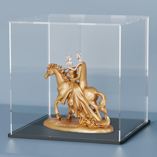 Acrylic Box with Matt Black Base, Simple Self-Assembly Clear Acrylic Display Case, 8 Inch Cube Dustproof Showcase with Lid for Collectibles, Toys and Jewelry (8x8x8 inch)