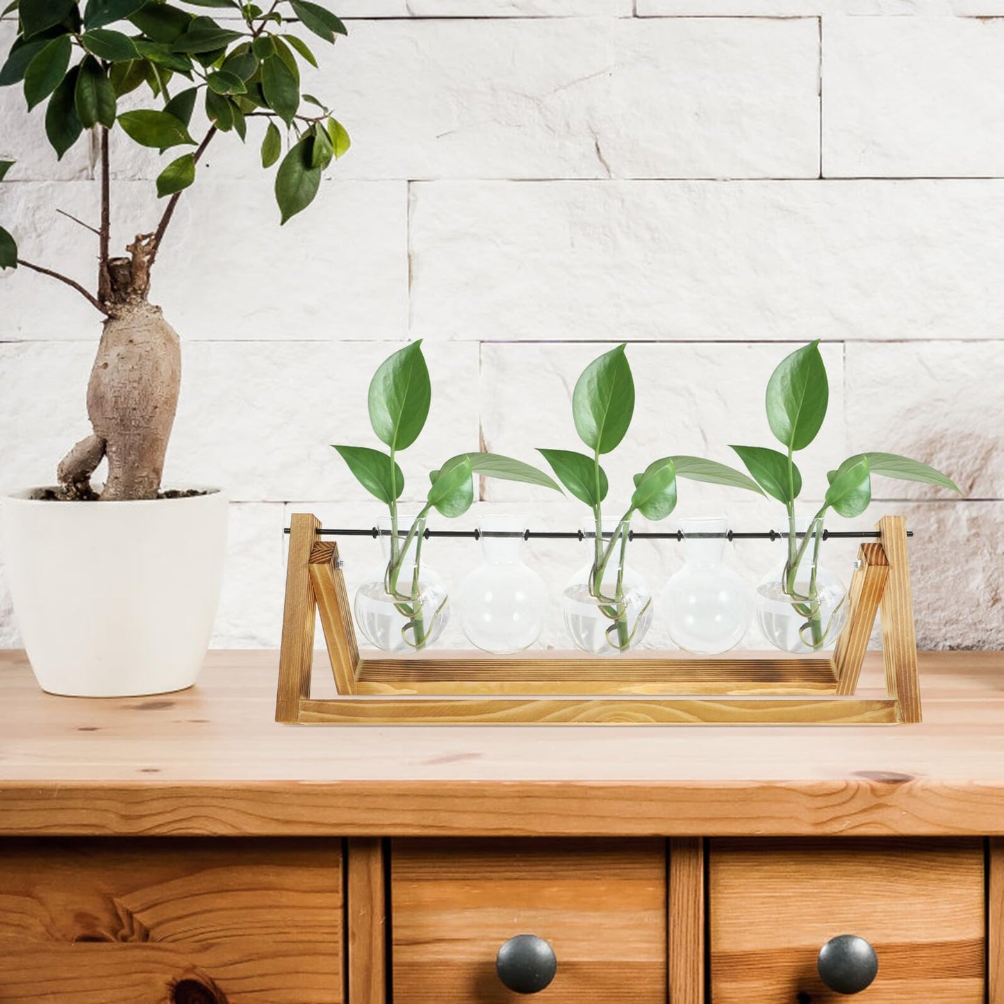 BEBEMOKO Glass Plant Propagation Station with 5 Hydroponic Vases and Wooden Stand, Glass Flower Vase Set for Desktop Indoor Plant Terrarium and Home Décor