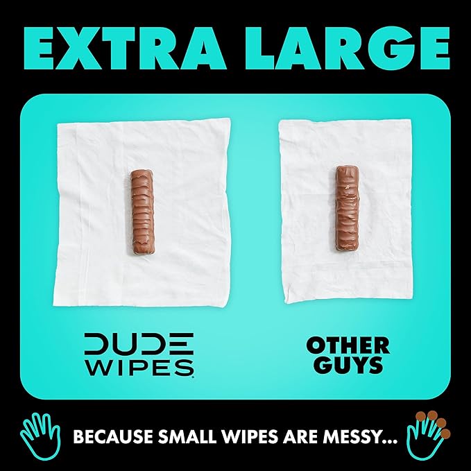 DUDE Wipes - On-The-Go Flushable Wipes - 2 Pack, 60 Count - Mint Chill Extra-Large Individually Wrapped Adult - with Eucalyptus & Tea Tree Oil - Septic and Sewer Safe