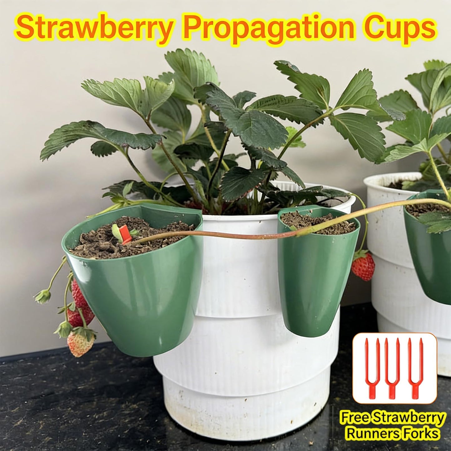 Propagation Cup Set Featuring Food Grade and Runner Forks Ideal for Strawberry Runners and Seedling Cultivation Drainage Planting Cups