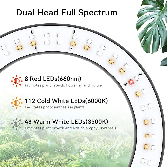 Dual-Head Grow Lights for Indoor Plants, Full Spectrum Plant Lights with 23.5-67" Adjustable Height Stand, 3 Growing Modes with Timer 3/9/12H, Dimmable Halo Grow Lights for Large Tall Plants