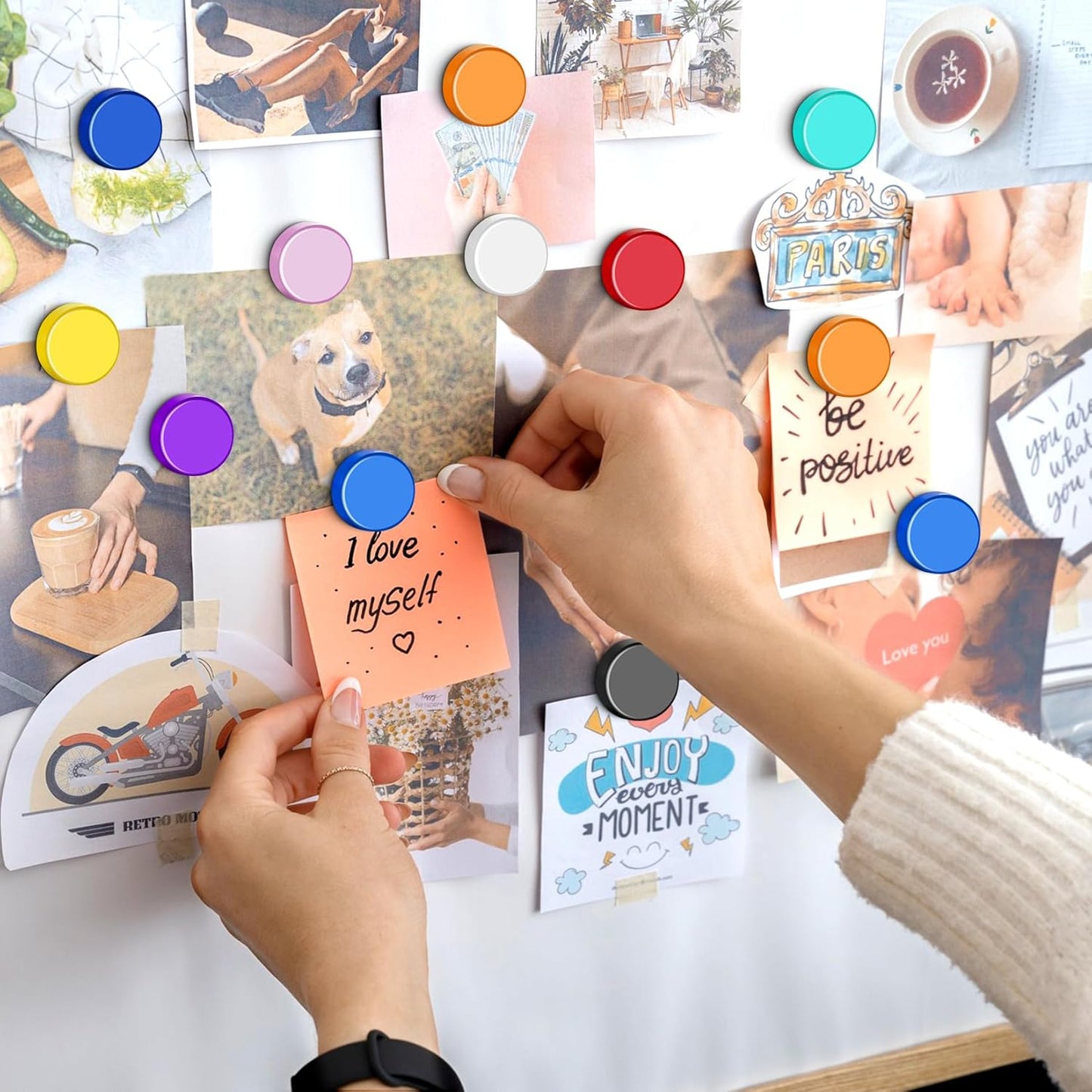 FINDMAG 60 Pack Fridge Magnets, Whiteboard Magnets, Dry Erase Board Magnet for Locker, Round Decorative Magnet, Small Colorful Refrigerator, 10 Colors