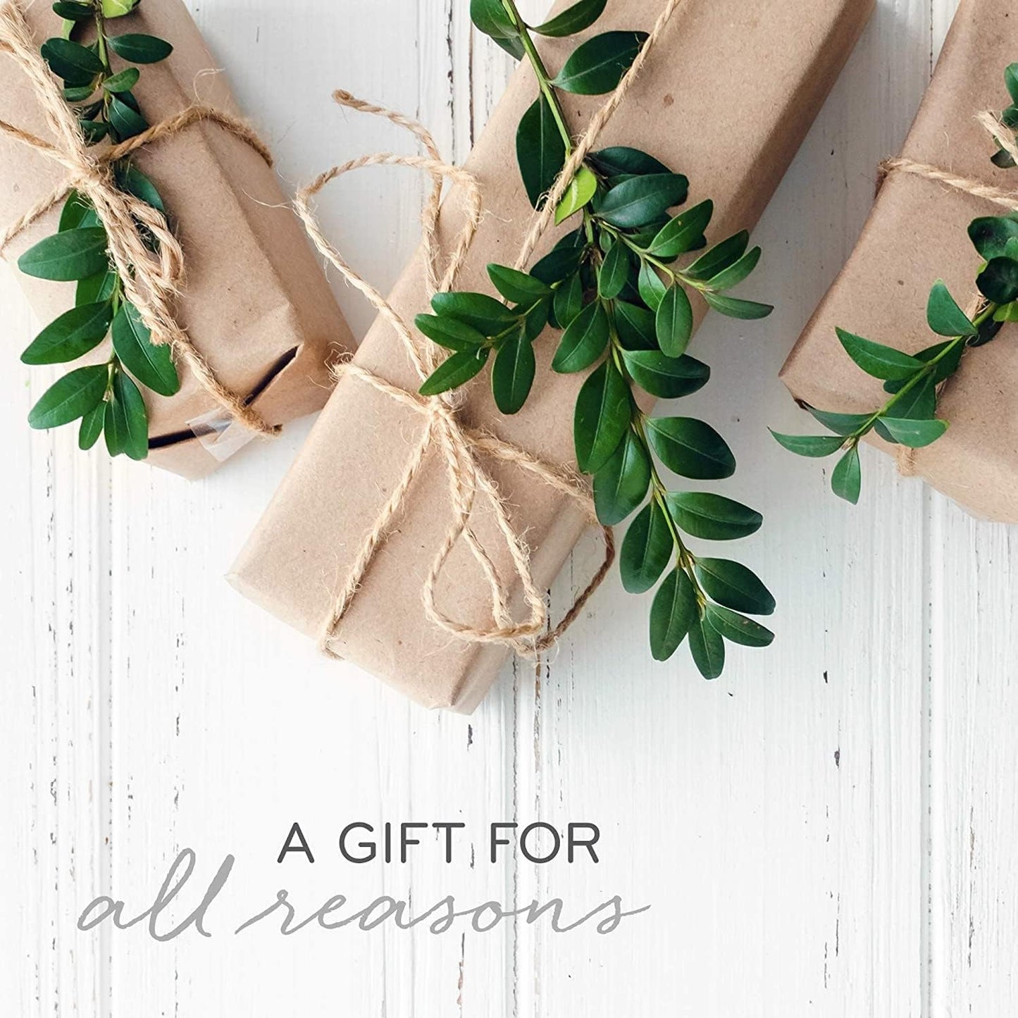 Thymes Frasier Fir Reed Diffuser Set – Includes Reeds, Fragrance Oil, and Frosted Glass Bottle – Fragrance Oil Diffuser – Room Fresheners – Luxury Home Decor – Green & White (Frosted Plaid, 4 fl oz)