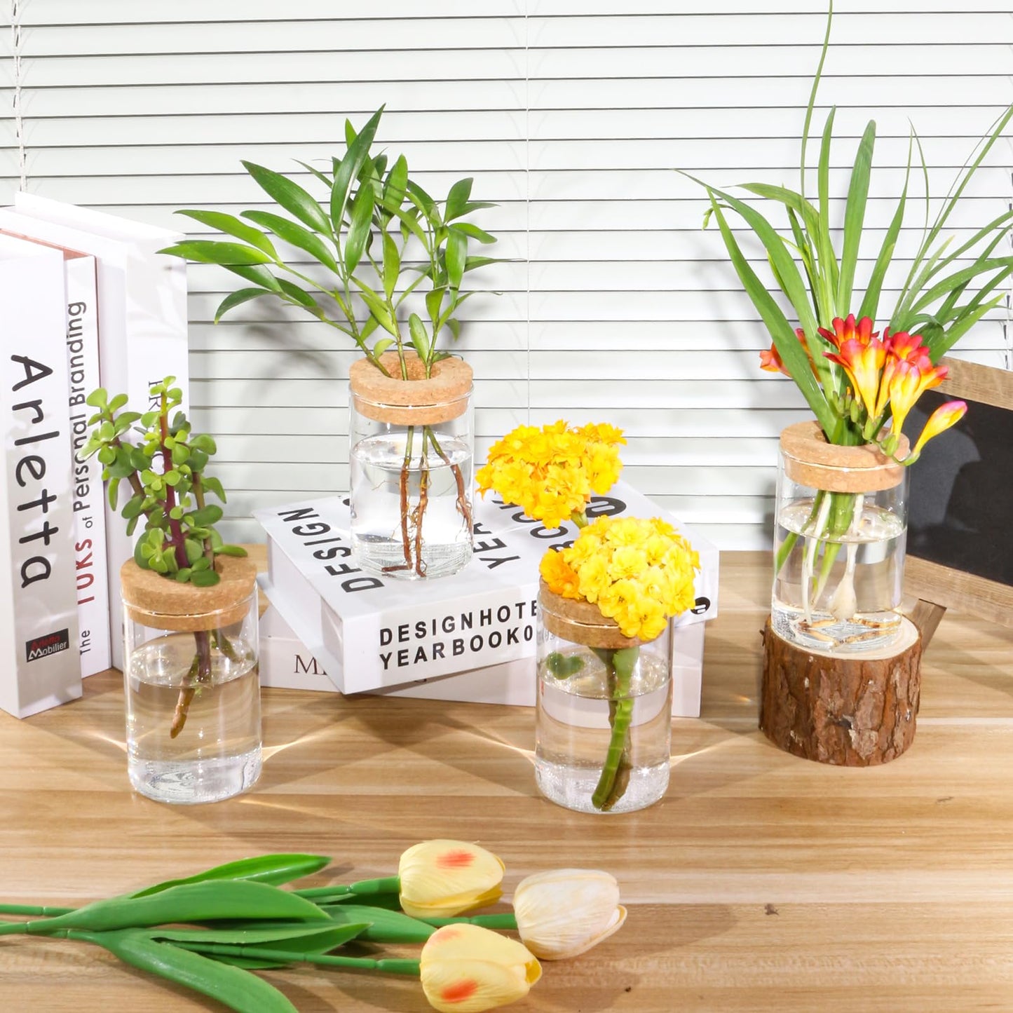 wangsdjy Separated Desktop Glass Flower Vases - Ideal Plants Propagation Stations for Living Room, Bedroom Decoration,Home Decor (6)