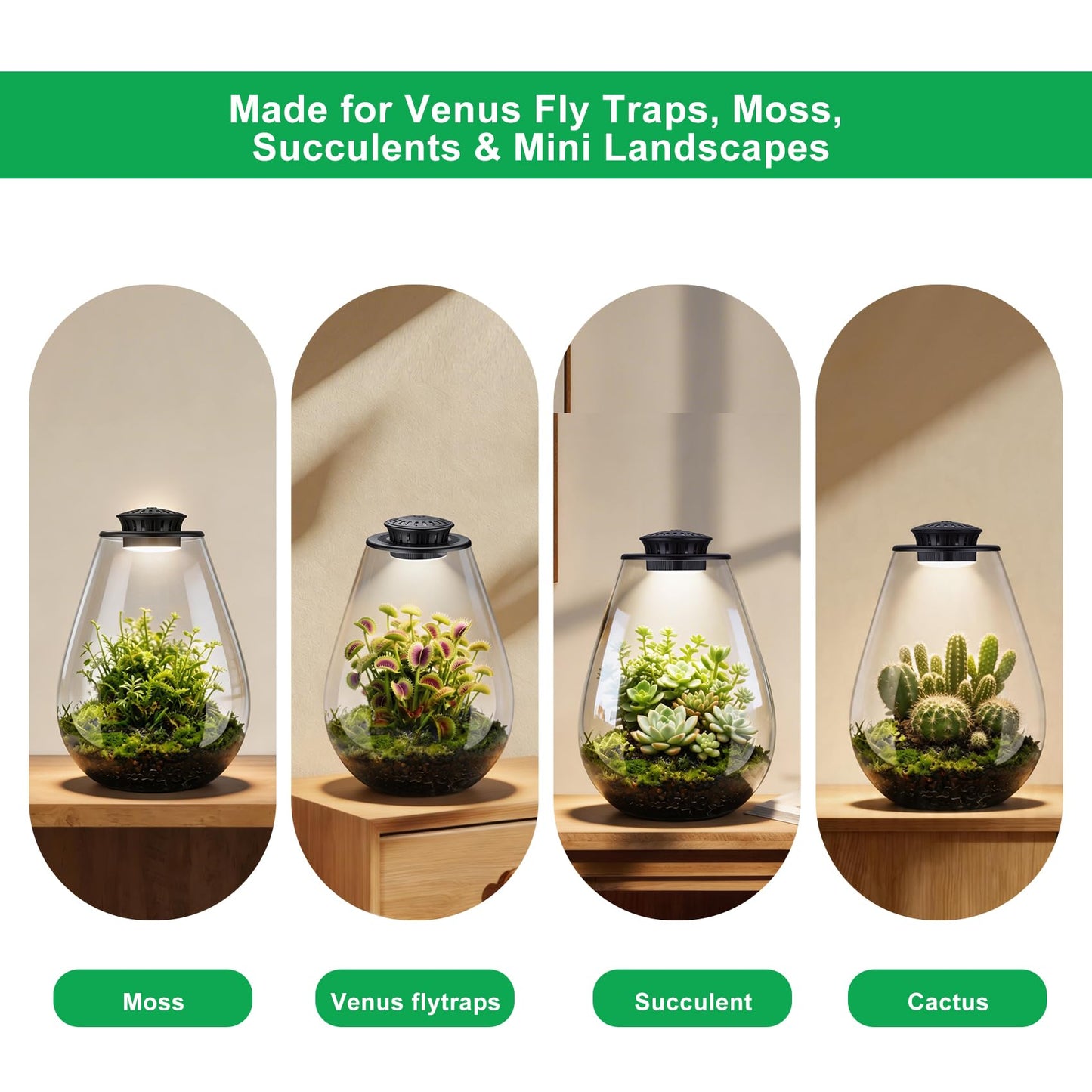 Xyingshine Glass Plant Terrarium with LED Grow Light, 7.8" Borosilicate Terrarium with Adjustable Ventilation & Timer, for Venus Fly Trap, Moss, Succulents, Mini Landscape, Desk Decor for Home Office