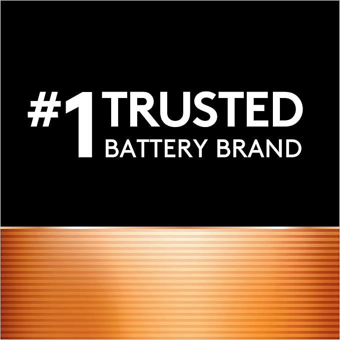 Duracell Ion Speed 1000 Charger for Rechargeable AA and AAA Batteries, With 6 AA and 2 AAA Pre-Charged for Household & Business