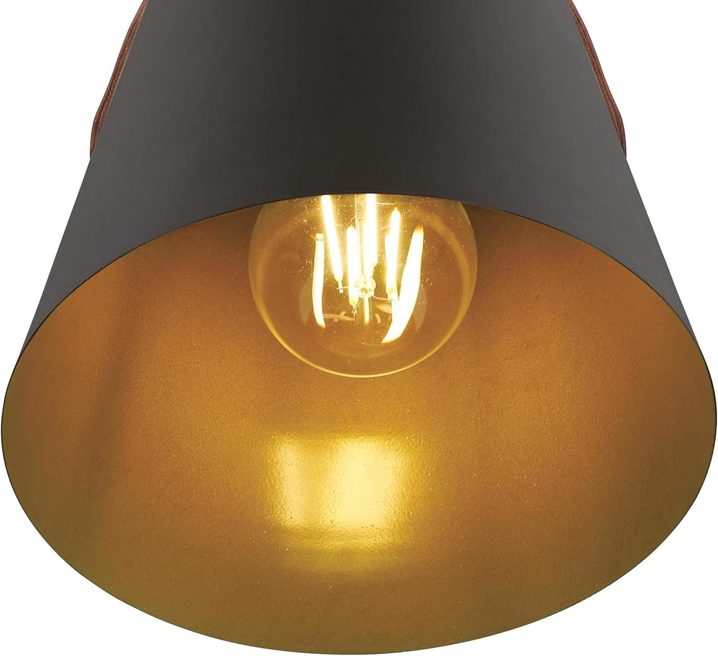 Westinghouse 6125300 Pasco Contemporary One Light Indoor Mini Pendant, Black-Bronze Finish with Leather Strap