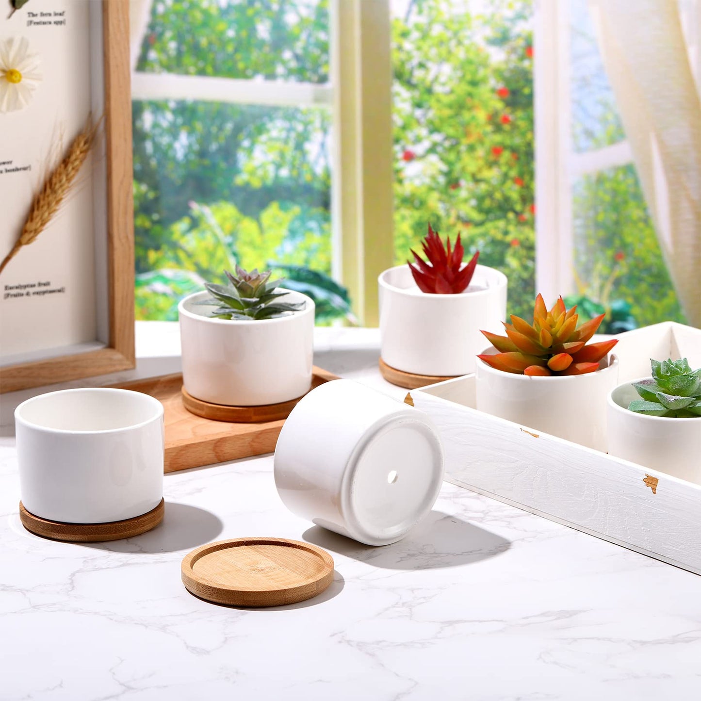 Cindeer 6 Pack White Succulent Plant Pots Bulk - 3" Ceramic Flower Pot with Bamboo Tray & Drainage Holes, Small Cactus Planters for Plant Lover, Home Office Table Decor (Plants Not Included)