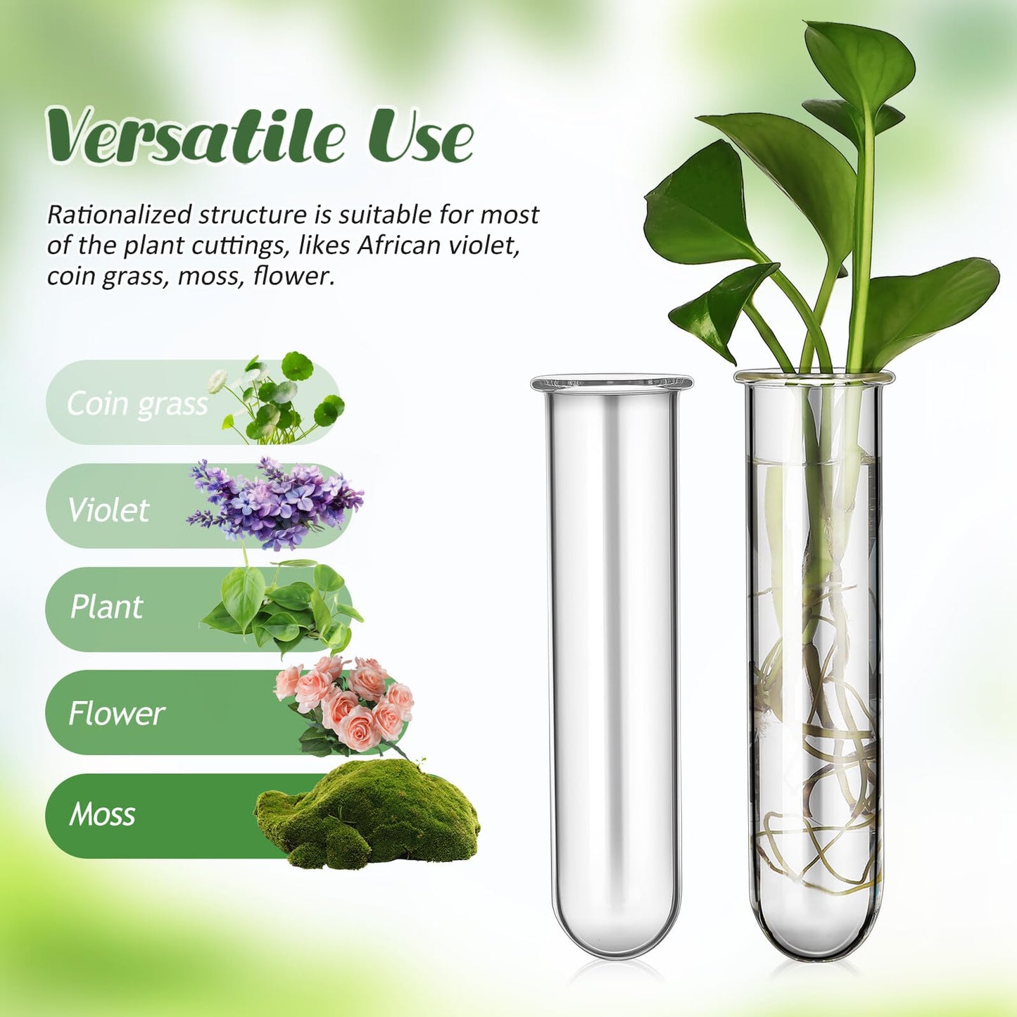 LIFKOME 5pcs Glass Test Tube Plant Vases 2.5x3x11cm Hydroponic Flower Tubes Propagation Station for Indoor Terrarium Gardening