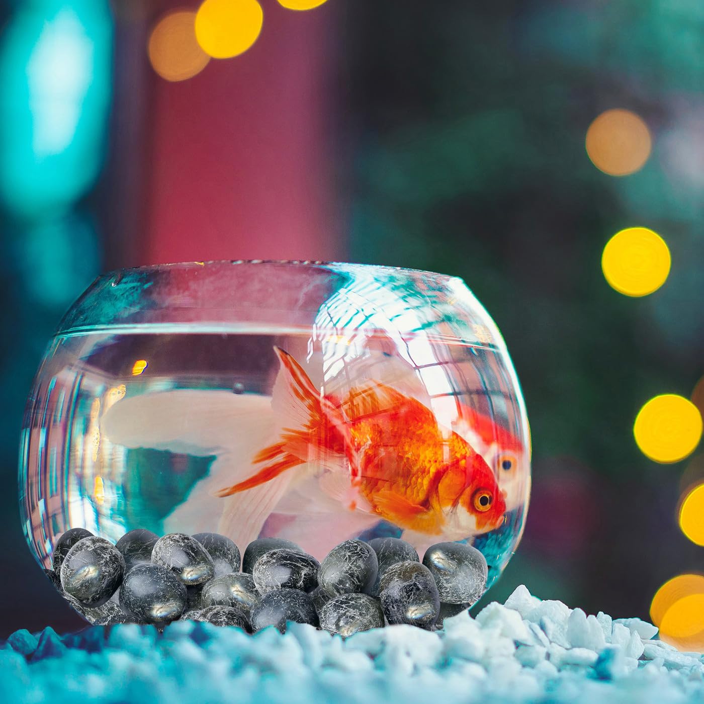 DUQGUHO Labradorite Crystals Healing Crystal Stones Set Natural Crystals Bulk Irregular Tumbled Polished Crystal Stones 0.45 lbs