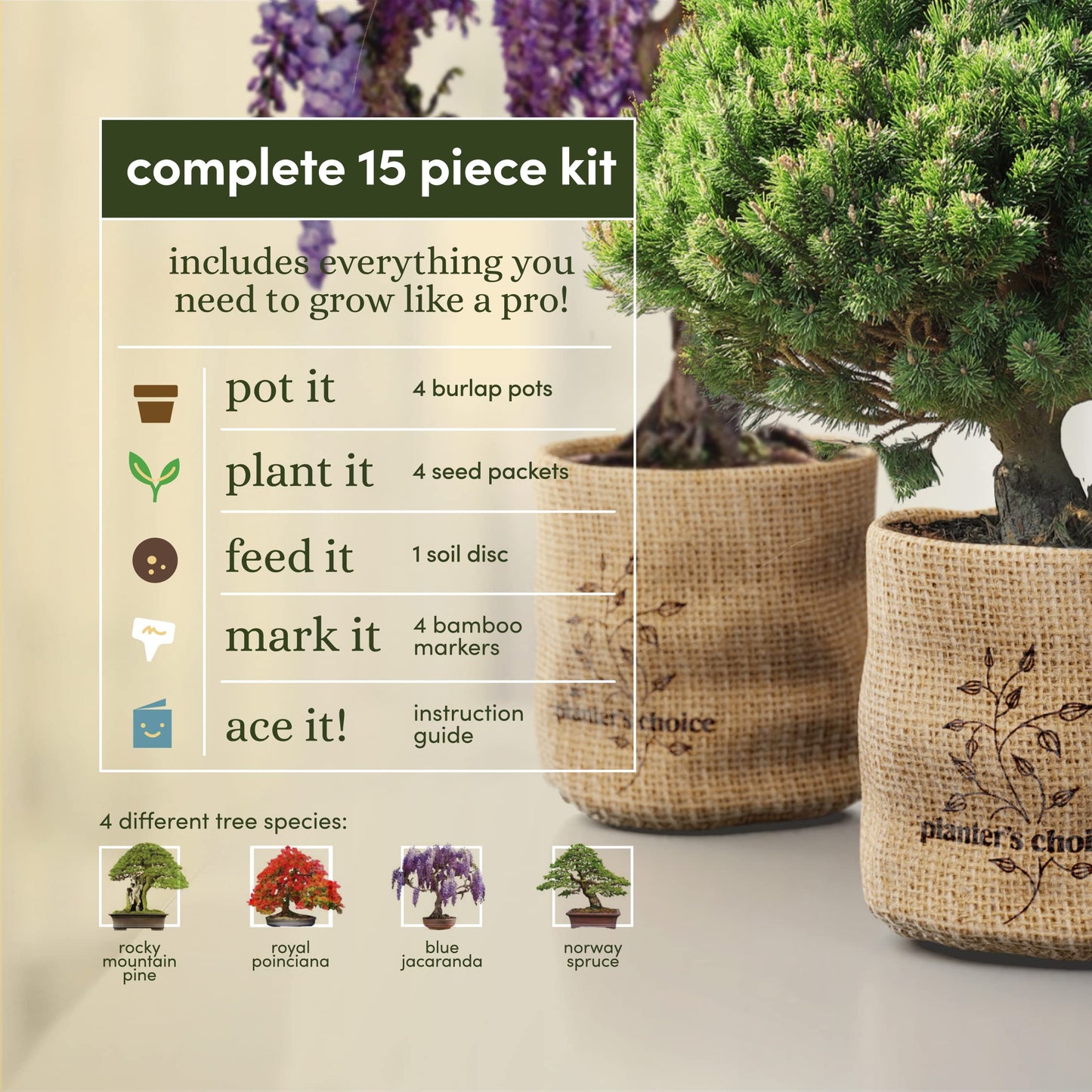 Bonsai Starter Kit - Gardening Birthday Gifts for Women & Men - Bonsai Tree Growing Garden Crafts Hobby Kits for Adults, Unique DIY Hobbies for Plant Lovers - Unusual Gifts Ideas Mom, Her, Friend