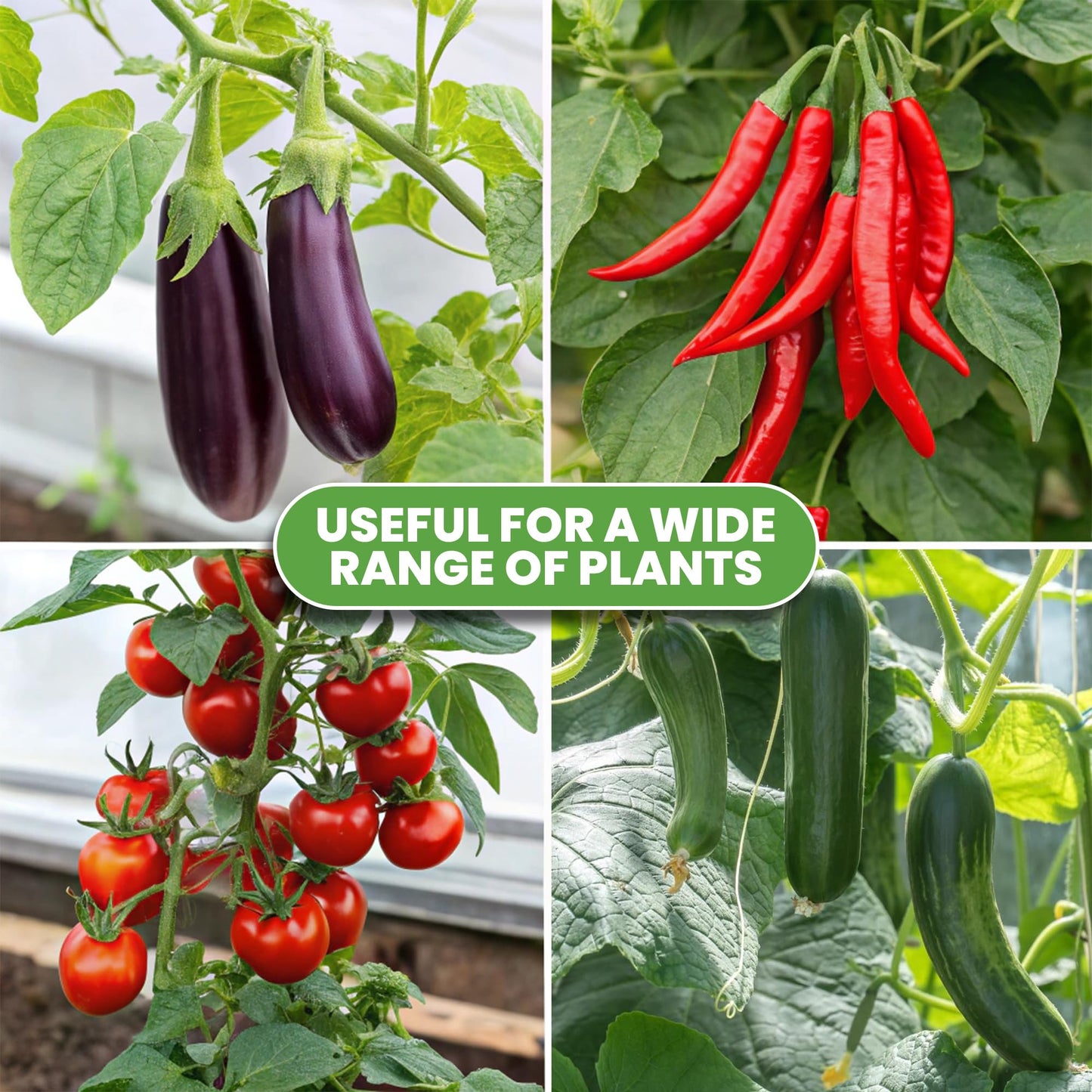 Tomato Cage Premium - Large Trellis Stakes and Plant Support Structures for Vegetables and Climbing Plants - Tall Tomato Cages for Garden, Pots, Raised Garden Bed Outdoor (3 Pack - Up to 63")