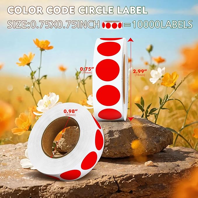 10Rolls 10000PCS 0.75 Inch Small Red Sticky Tags, Permanent Sticky Dot Color Code Labels in Dispenser Box,Circle Blank Labels Total for Documents, Inventory,Calendars, CDs,Garage Sales