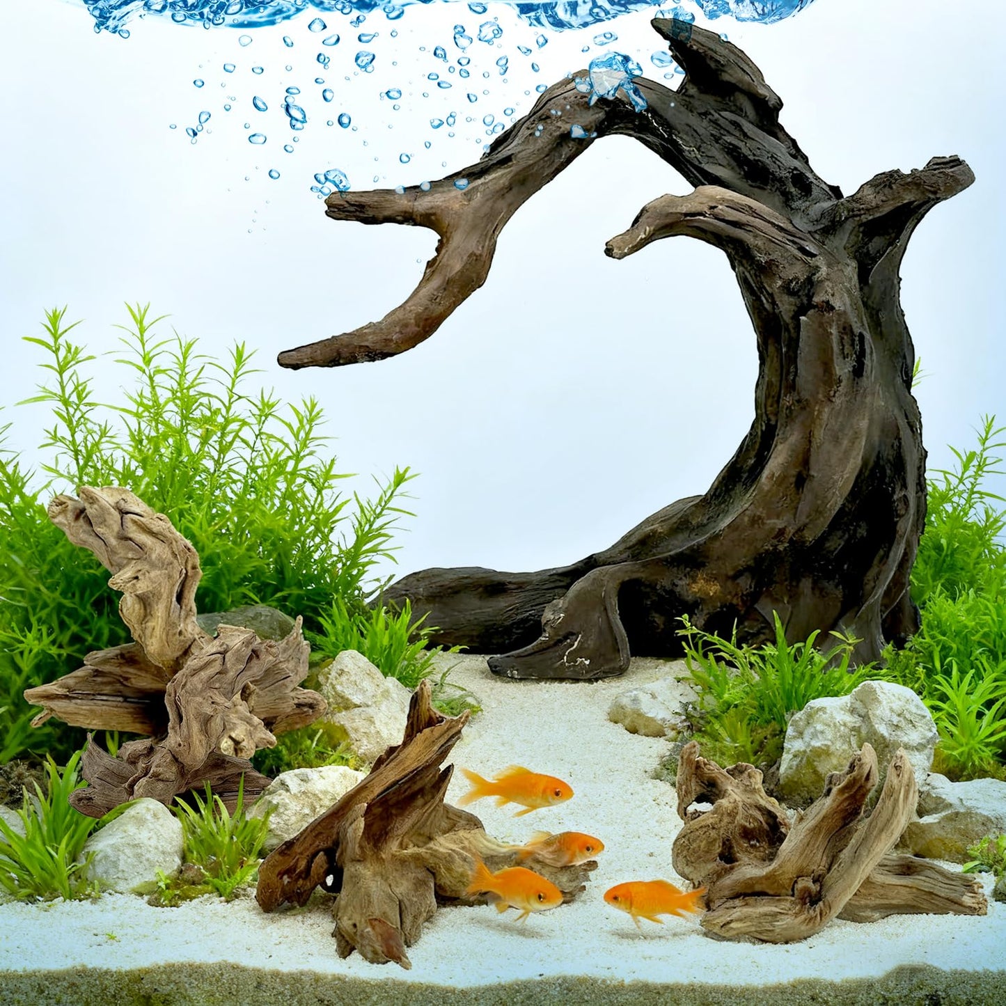 Obantrsz Aquarium Driftwood Decor Set - 1 Anubias Resin Model & 3Pcs Small Natural Driftwood 2-4 inch for Aquascaping, Fish Tank Landscape Design