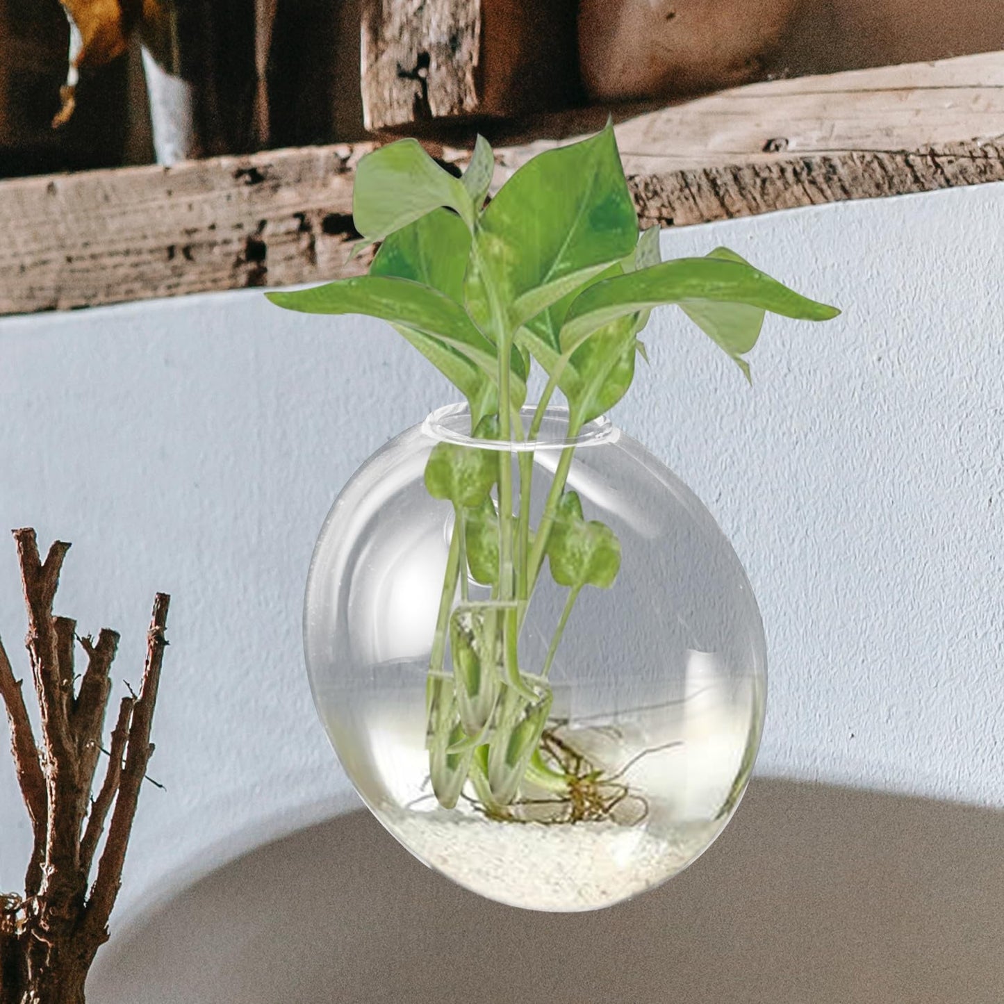 Cabilock Wall Hanging Glass Planter Vase for Hydroponics Plants, Small Glass Plant Holder, Indoor Decorative Hanging Terrarium for Home and Office