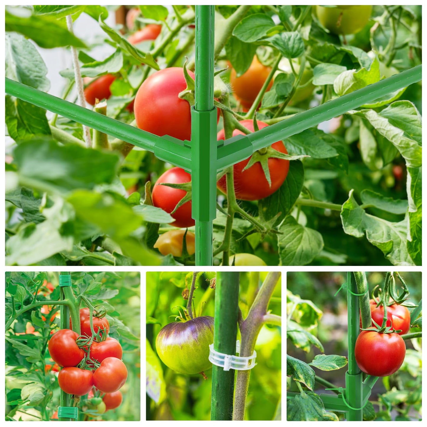 POILKMNI Tomato Cage 51×17×49 Inch with 46 Gallon Grow Bag, Heavy Duty Plastic Coated Steel Plant Support Trellis for Tomato Cucumber Climbing Plants Outdoor Indoor