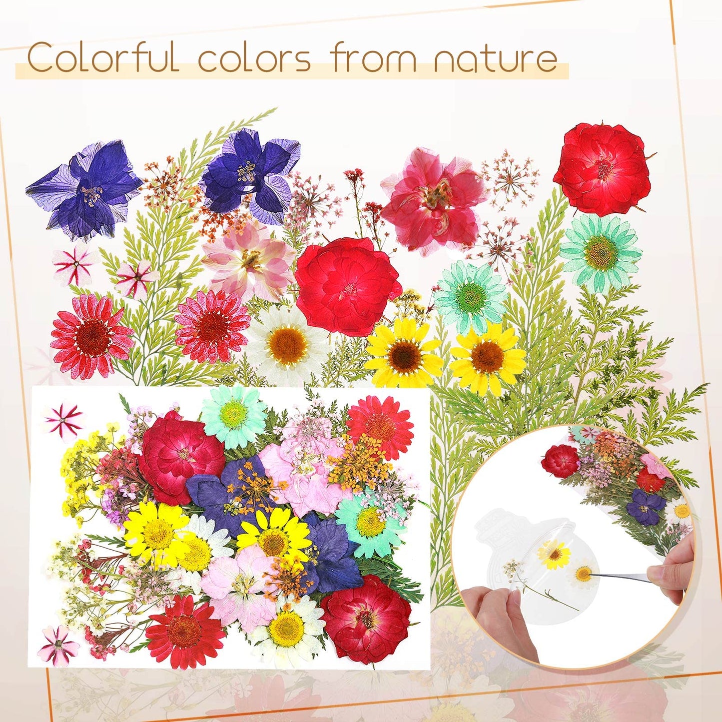 TaoBary 91 Pcs DIY Handmade Transparent Dried Flower Bookmark Set Include Butterflies Clear Bookmarks Dried Flowers Colorful Tassels and Tweezer for Book Bottle Supplies(Classic Color)