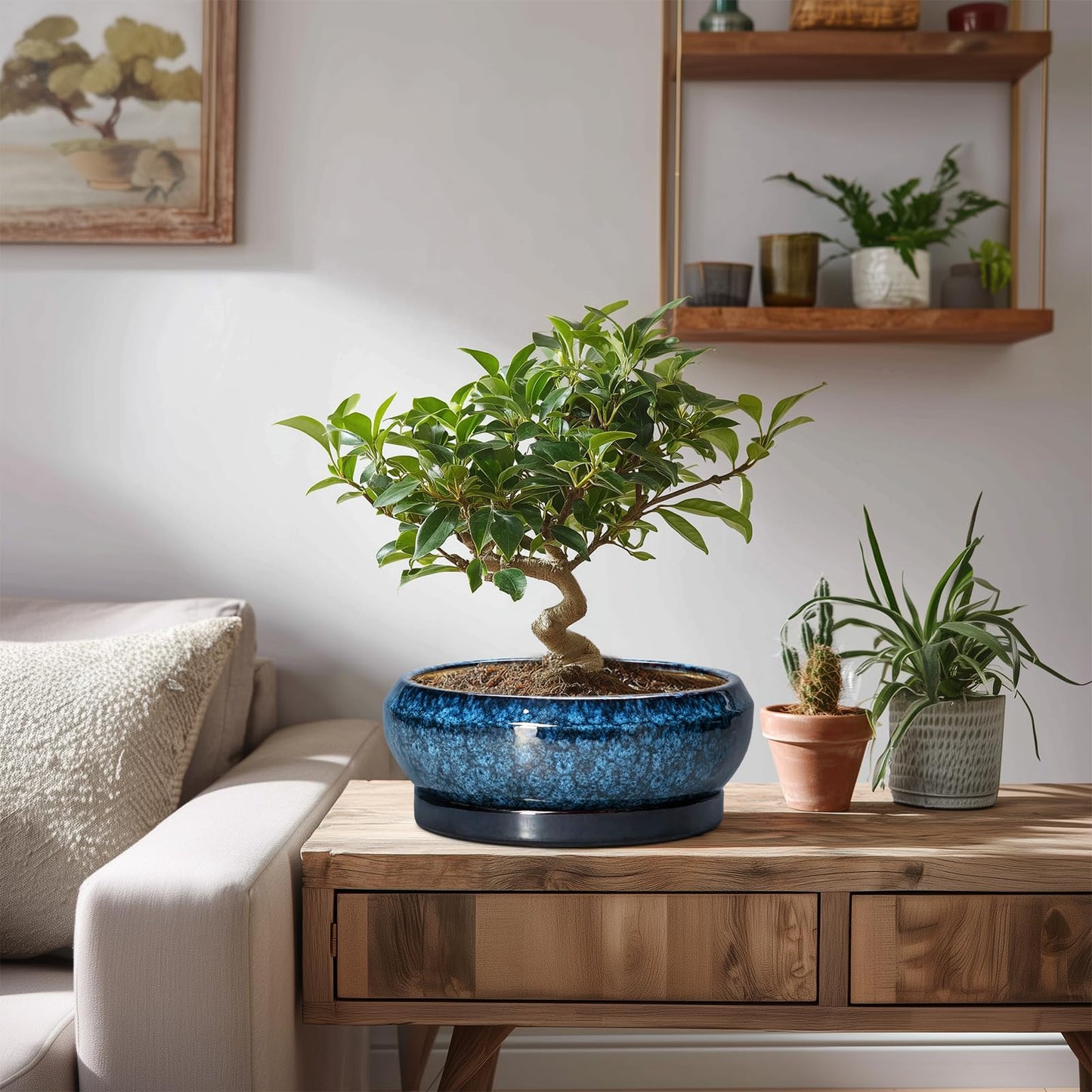 EPFamily Bonsai Pots 8 Inch - Ceramic Succulent Planter for Indoor Outdoor, Round Bonsai Planter with Drainage Hole and Saucer, Shallow Ceramic Planters Bowl, Patio Decor, Housewarming Gift, Blue