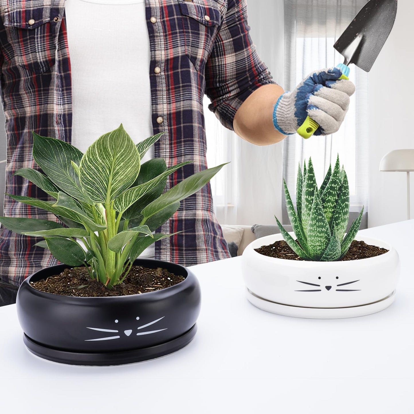 Koolkatkoo 8 Inch Cat Ceramic Succulent Planter Pot with Drainage Hole and Tray Flower Pot for Indoor and Outdoor Plants Round Shallow Planter Gifts for Cat Lovers