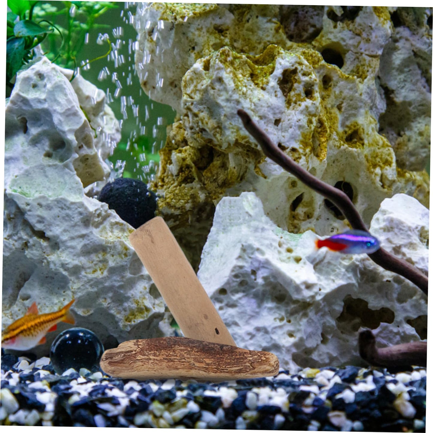 SHINEOFI Natural Driftwood Blocks for Aquarium Driftwood Decor and DIY Crafts Polished Small Wood Pieces for Fish Tank Decoration 20 Pieces 3.93X1.18X0.59 Inch