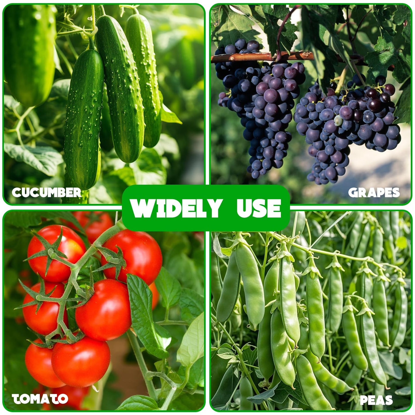 Heavy Duty Cucumber Trellis,2 Pack,No AssemblyGarden Trellis for Climbing Plants Outdoor,Cucumber Trellis, A-Frame Vegetable Frame,Vegetables Peas Beans Squash Cucumber