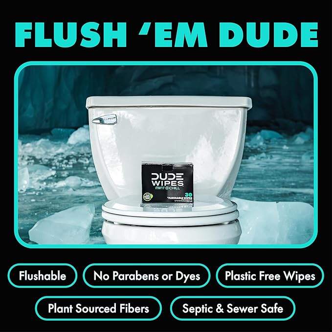 DUDE Wipes - On-The-Go Flushable Wipes - 2 Pack, 60 Count - Mint Chill Extra-Large Individually Wrapped Adult - with Eucalyptus & Tea Tree Oil - Septic and Sewer Safe