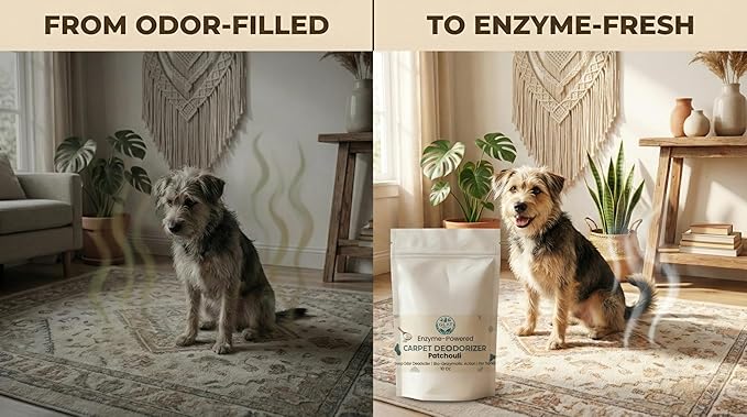 Enzyme-Powered Carpet Deodorizer (Powder) - Patchouli | Natural Pet Odor Eliminator | Bio-Enzymatic Formula, Premium Performance, Eco Friendly | 16 oz