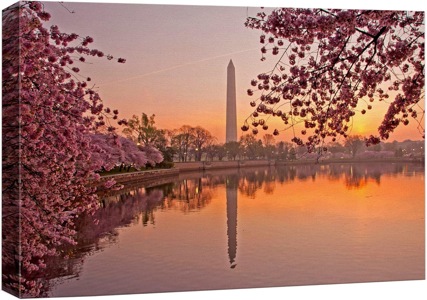 Canvas Prints Wall Art - Cherry Blossom Festival at The National Mall Washington, DC | Modern Wall Decor/Home Art Stretched Gallery Wraps Giclee Print & Wood Framed. Ready to Hang - 12" x 18"