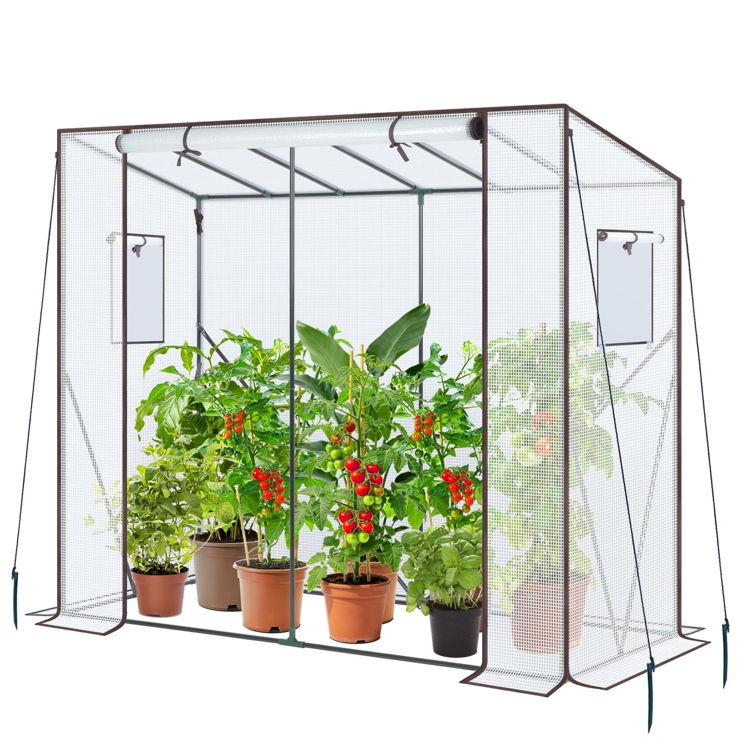 Ohuhu Tomato Greenhouse for Outdoors: Portable Lean to Green House Heavy Duty with Roll-Up Zippered Door, Tall Plastic Greenhouses for Outside Plants Growing Shed Tent for Backyard, 6.6x2.5x5.6 FT