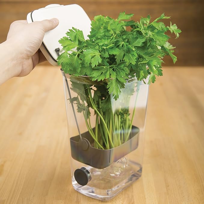 ProKeeper Herb Keeper – White, with Removable Silicone Drain Plug, BPA-Free Plastic