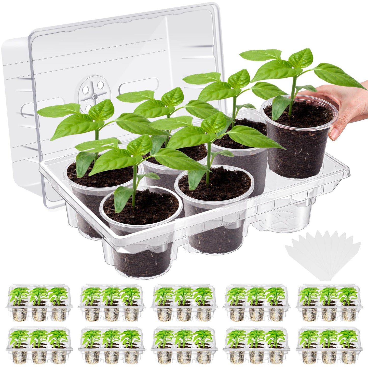Vesici 10 Pack Seed Starter Tray Kit Seedling Starter Trays with 60 Pcs 4 Inch Nursery Pots and Humidity Dome (60 Cells) Mini Greenhouse Plant Germination with Labels for Garden(Clear)