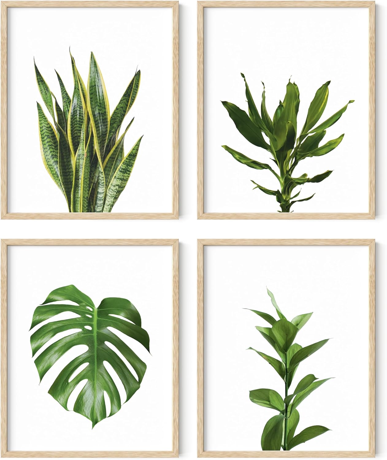 Plant Photo Set of 4-8x10 Framed Beige
