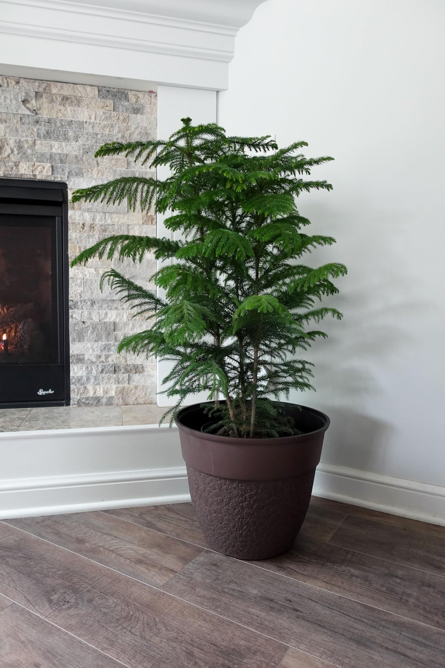 The HC Companies 16 Inch Brookhaven Decorative Round Planter - Lightweight Premium Resin Plant Pot with a Stonelike Texture for Indoor Outdoor Use, Brown