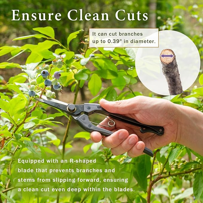Japanese-Made Bud Cutting Pruning Shears for Gardening, Precision Hand Pruner for Live Branches & Stems, Clean Cut Pruning Scissors for Bonsai, Flowers & Plants (Single-blade)