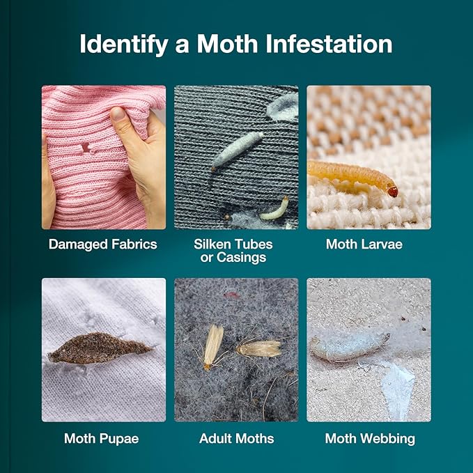 ZingZap Moth Trap 10-Pack, Slowly Releases Enhanced 2X Pheromones, Lures, Trap & Kill Pantry & Clothes Moths, Food, Wardrobe & Dresser Moth Treatment & Prevention, Odorless, Safe & Eco-Friendly