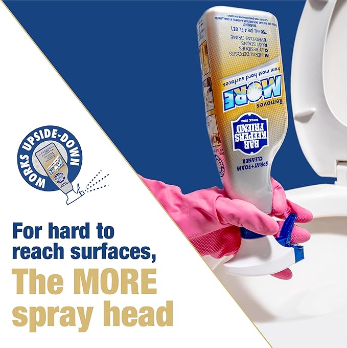 Bar Keepers Friend MORE Spray + Foam Multipurpose Cleaner (2 x 25.4 oz) & Dish Fish Dual Sponge for Bathroom, Kitchen & Outdoor Use on Stainless Steel, Aluminum, Brass, Tile, Ceramic, Porcelain & More