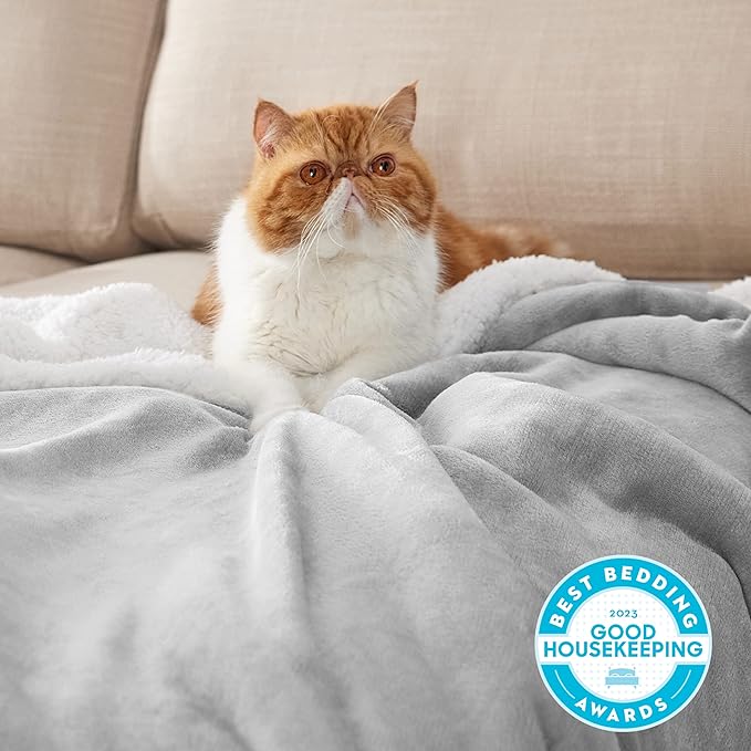 Bedsure GentleSoft Sherpa Fleece Blankets Queen Size for Bed - Thick and Warm Throw for Women and Men, Soft Fuzzy Plush Queen Blanket for Winter, Non-Heated, Light Grey, 90x90 Inches