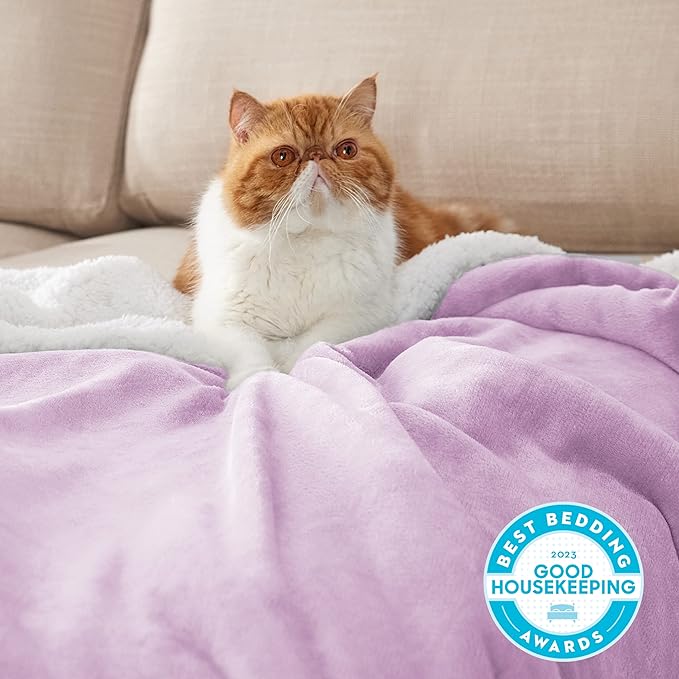 Bedsure GentleSoft Sherpa Fleece Blankets Queen Size for Bed - Thick and Warm Throw for Girls and Women, Soft Fuzzy Plush Queen Blanket for Winter, Non-Heated, Lilac, 90x90 Inches